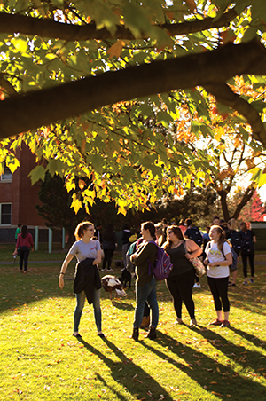 Studying at Utica College