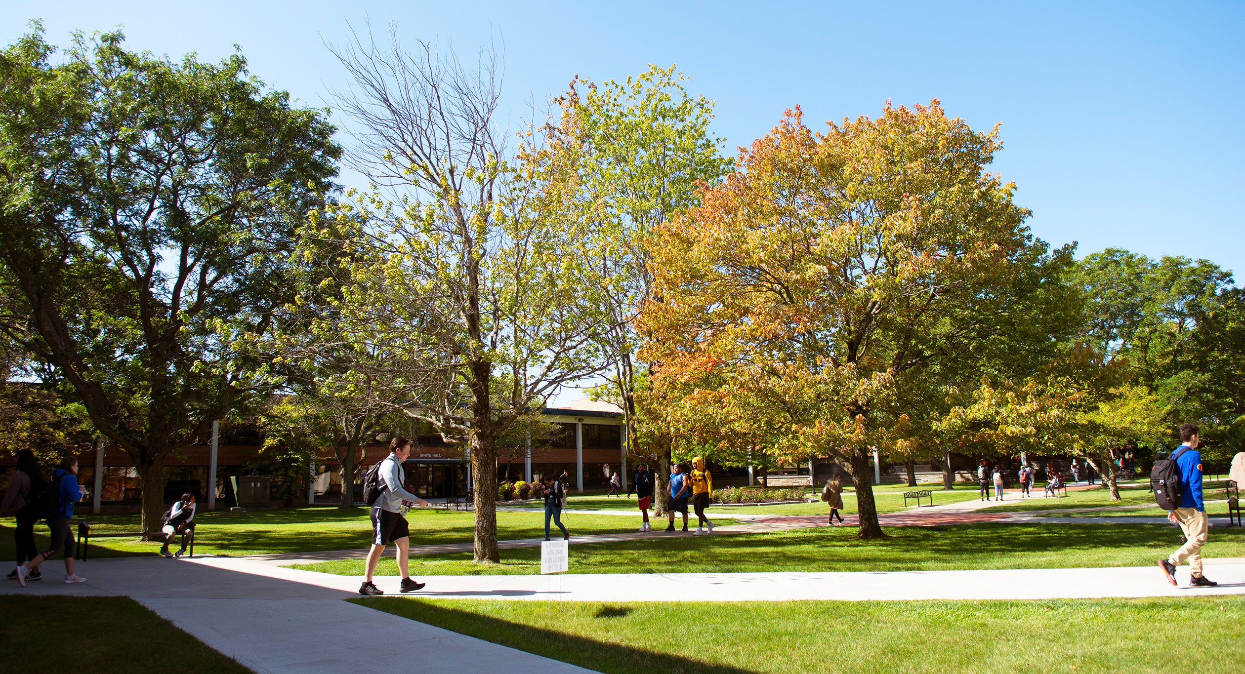 Utica College campus